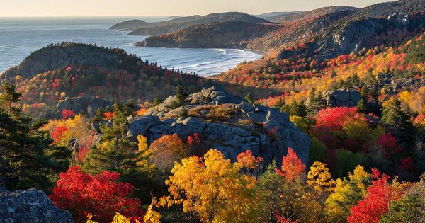 Autumn foliage over granite ridgelines and ocean shoreline at Acadia National Park, Maine