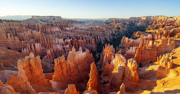 Bryce Canyon amphitheater at sunrise — thousands of orange hoodoo spires lit by low-angle morning light, with deep blue shadows filling the spaces between formations