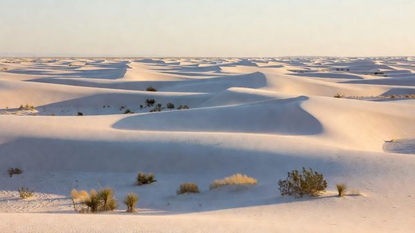White gypsum sand dunes at White Sands National Park, New Mexico